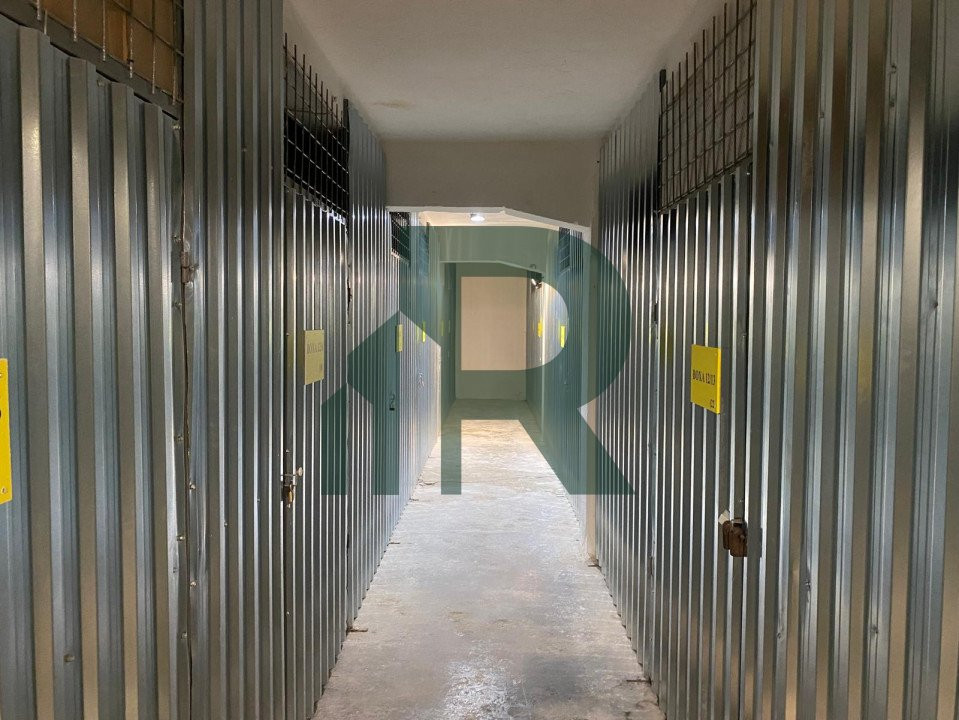 Hale cu suprafete cuprinse intre 100 mp si 500 mp in Cisnadie 